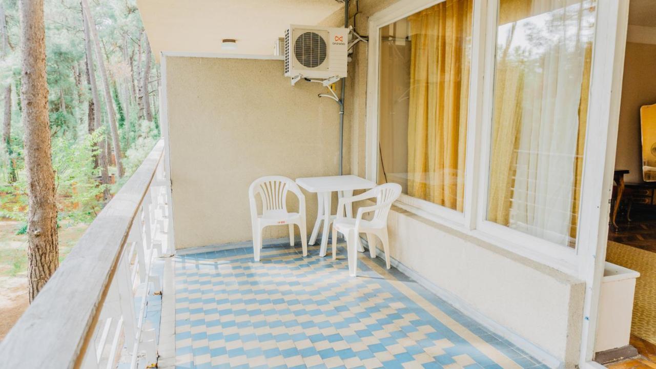 Gosdacha Ldzaa Hotel Lidzava Exterior photo
